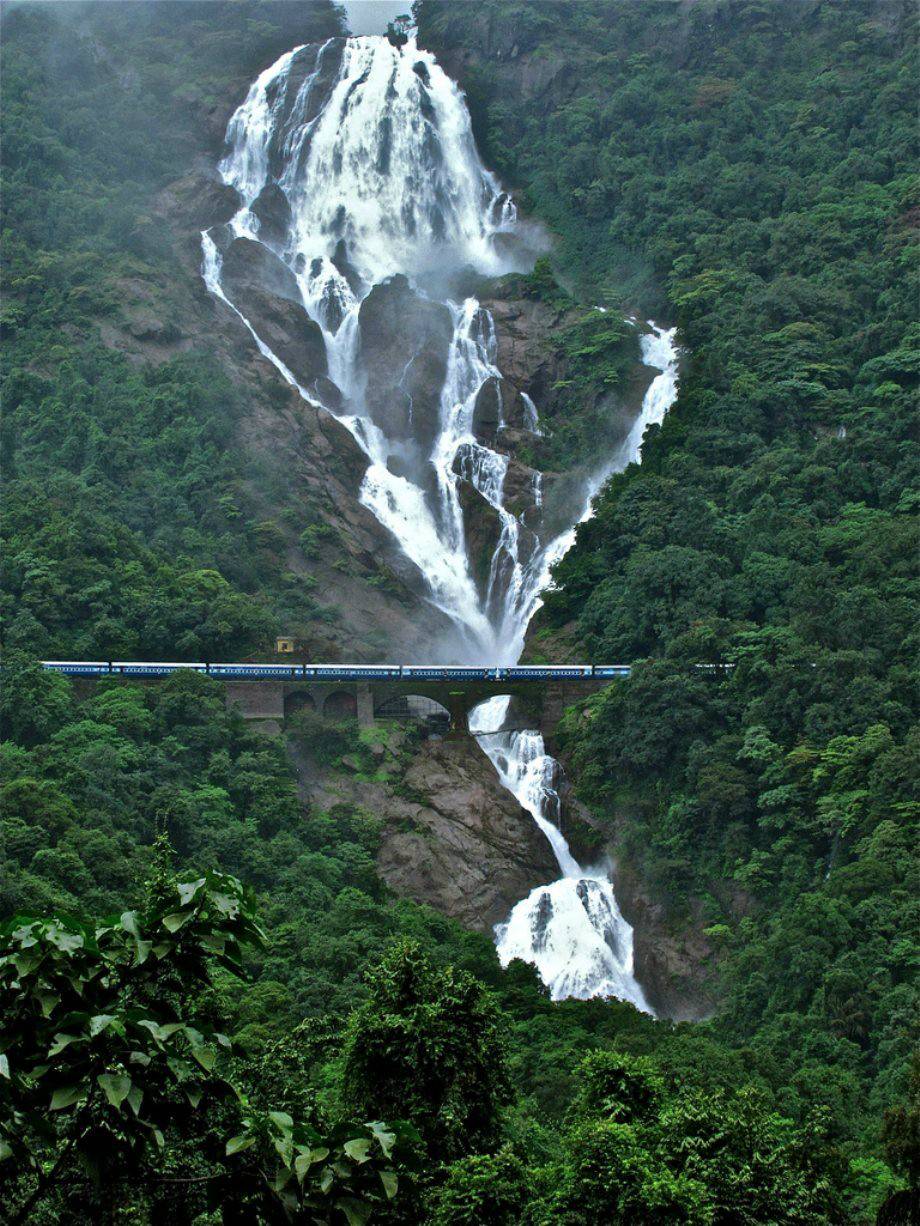 Bala #2998