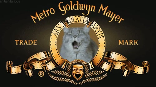 Bala #3009