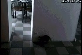 Bala #3182