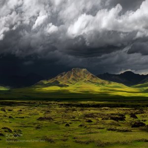 Bala #4578