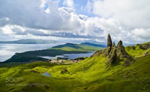 Bala #4894