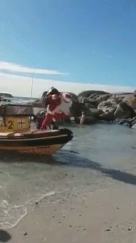 Bala #5727