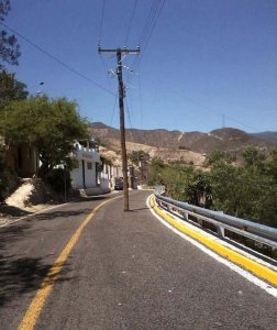 Bala #6616
