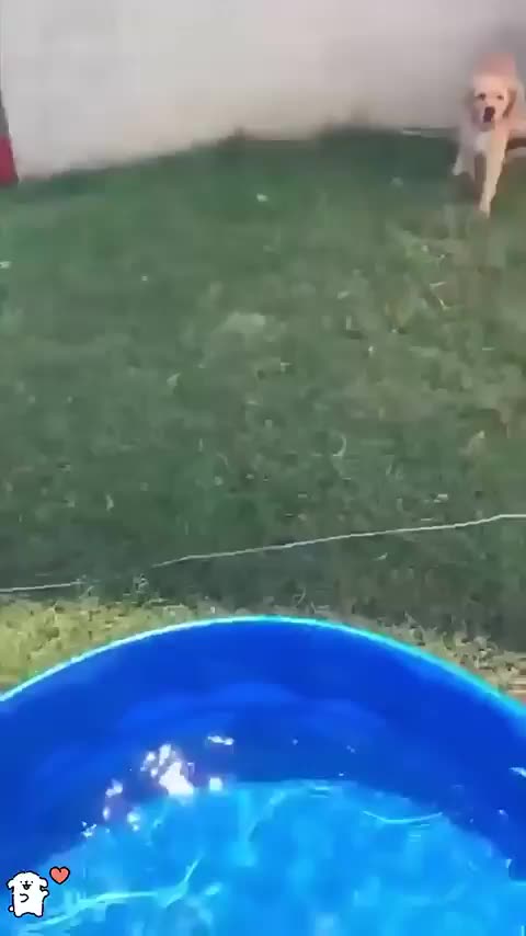 4IJGydf