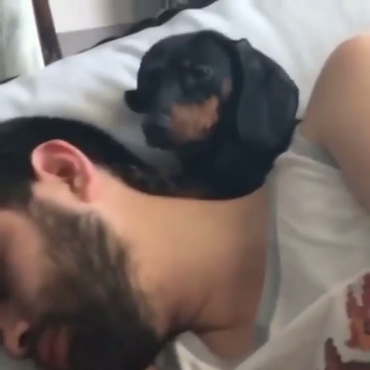 Nap time! - GIF on