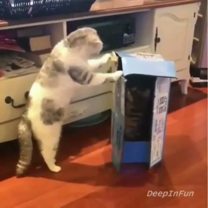 Hyper-intensity ENGAGE! - GIF on