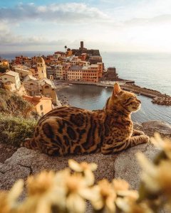 ✨ Italia ✨