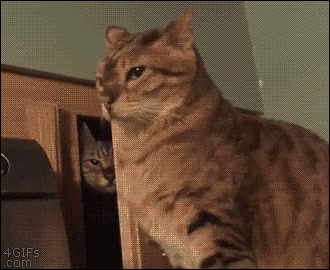 Sneak attack