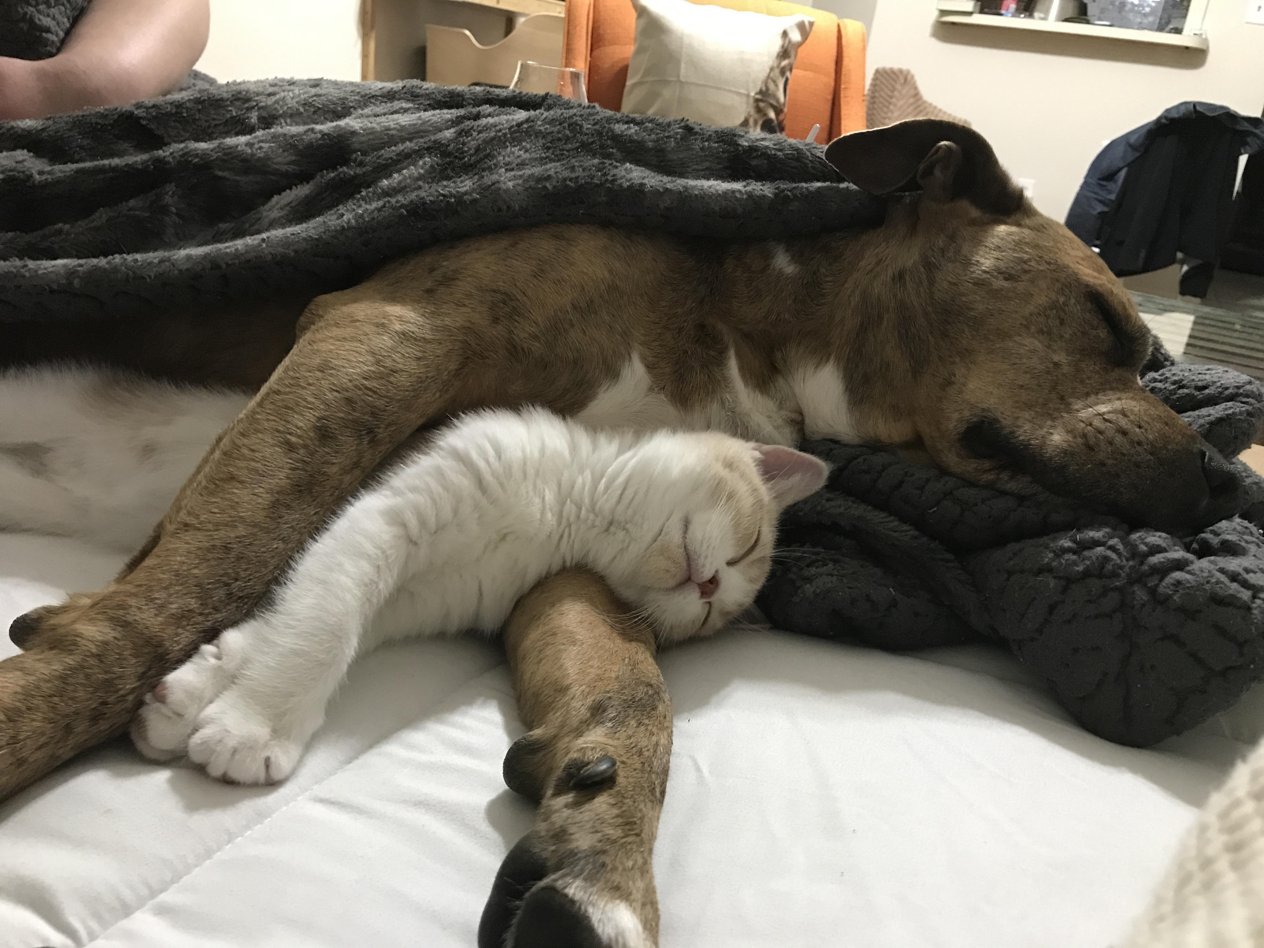 I think they are warming up to each other.