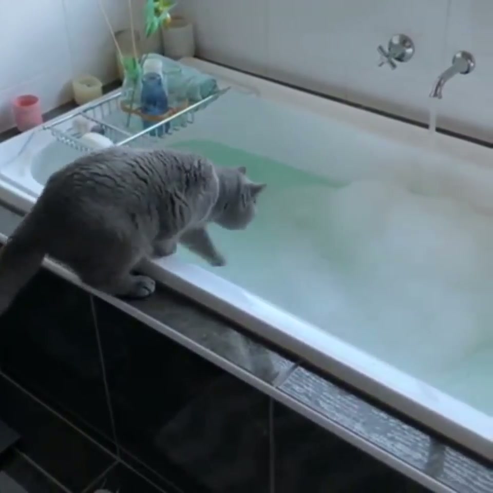 Kitty discovers soap suds won