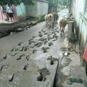 Getting their first road in a rural area and this happens
