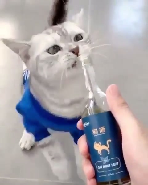 hmmm