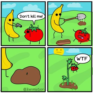 [OC] tomato of theseus, is it the same tomato?