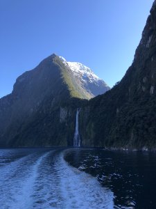 Bluebird day on Milford Sound, New Zealand [4032 x 2034][OC]