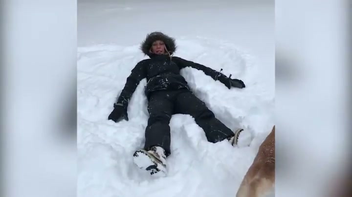 Dog making snow angel