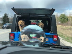 Four good boys!