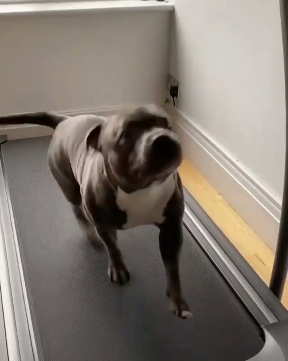 Working on his beach body