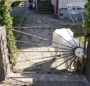 Here comes the sun, do do do do.