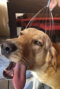Upvote for upvote