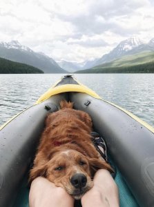 It doesn’t get much better than this
