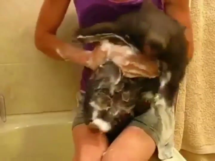 "UNHAND ME WOMA... oh actually this is nice" - GIF on