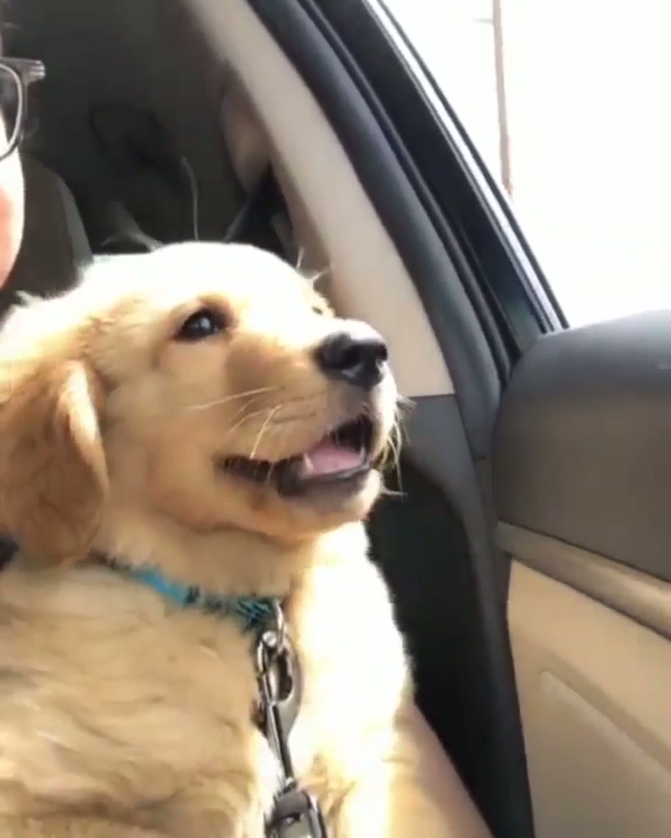 First open window car ride!