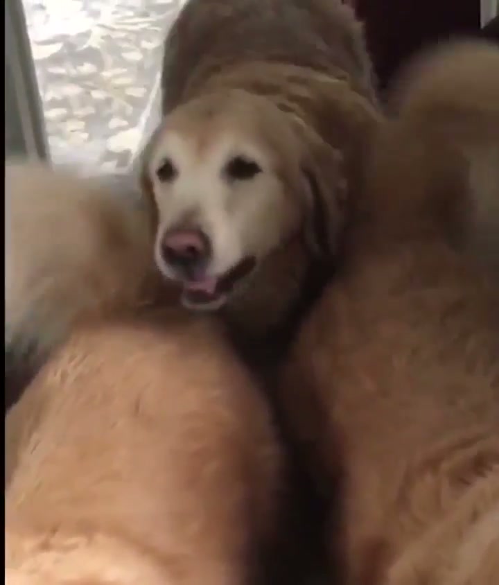 ELdeRlY Citizen iS fLogGeD tO DEatH By saDIsTIc tEENAge fUCkerS - GIF on