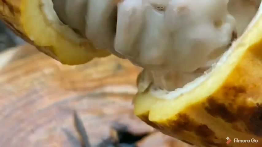 Making chocolate from scratch