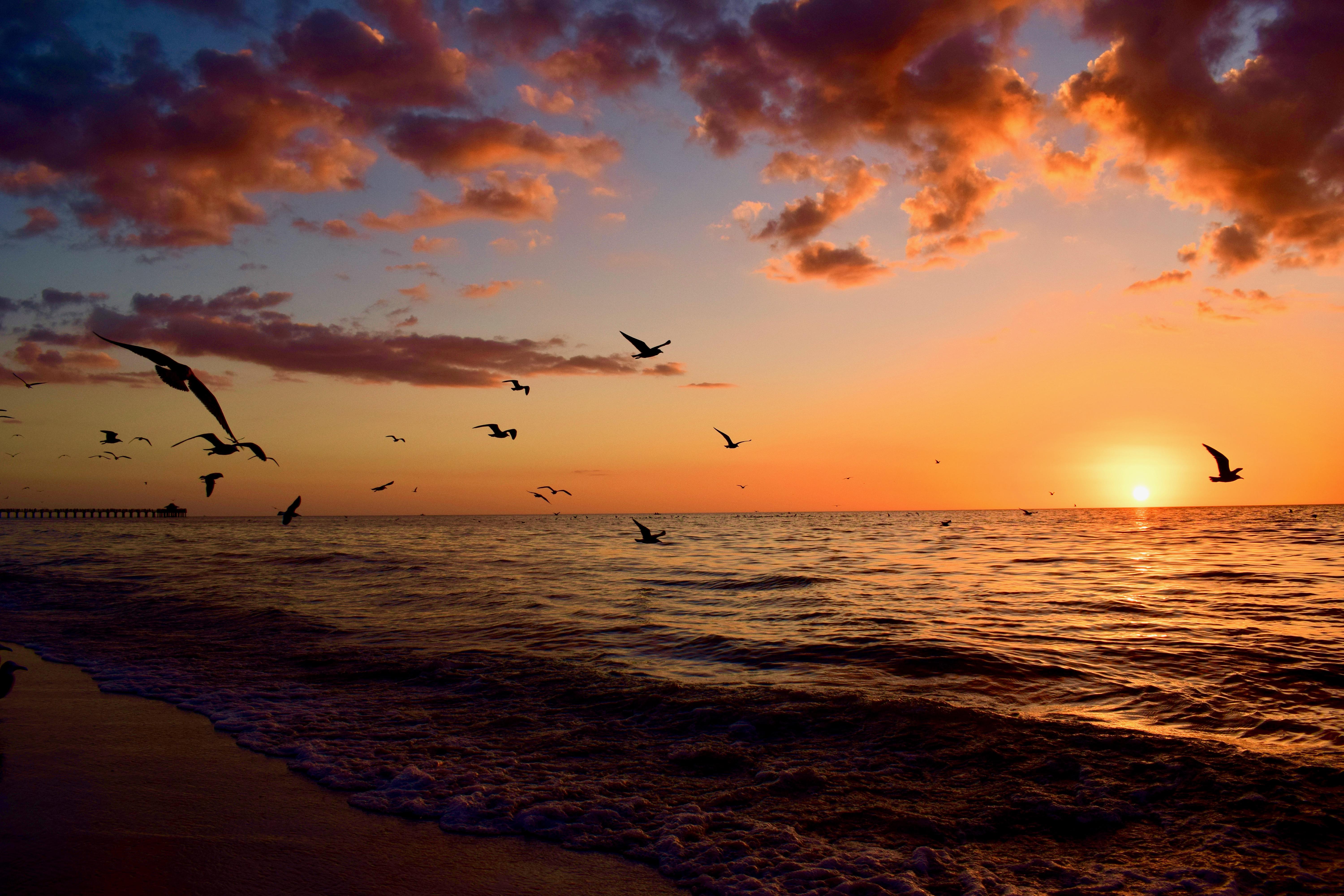 ITAP of a sunset in Naples FLA