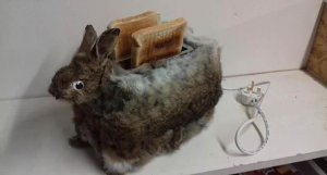 The Rabbit Toaster is here!
