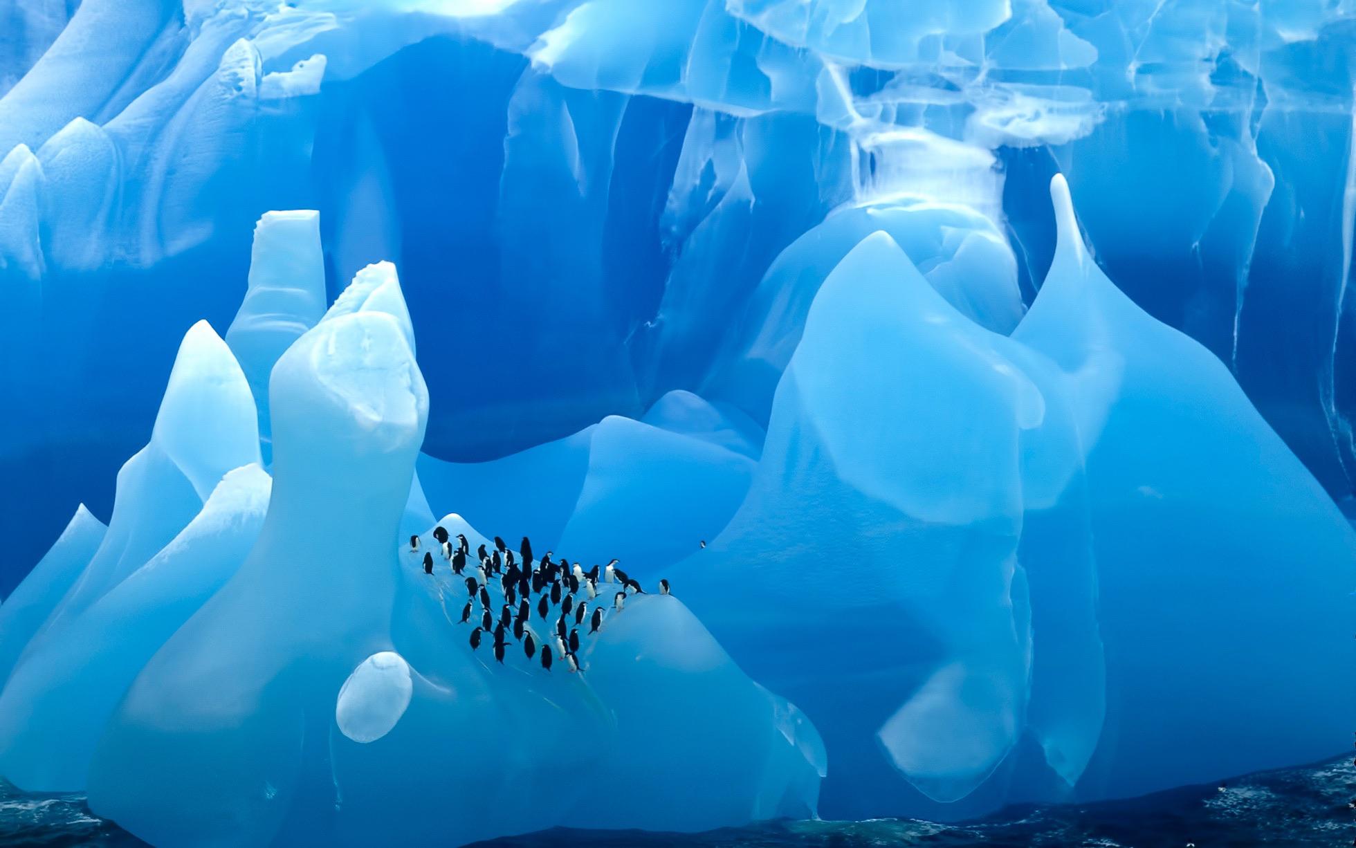 ? Penguins chilling on a blue iceberg