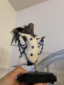 Burlesque!