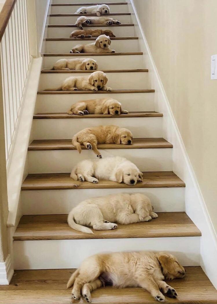 Stairway to Heaven