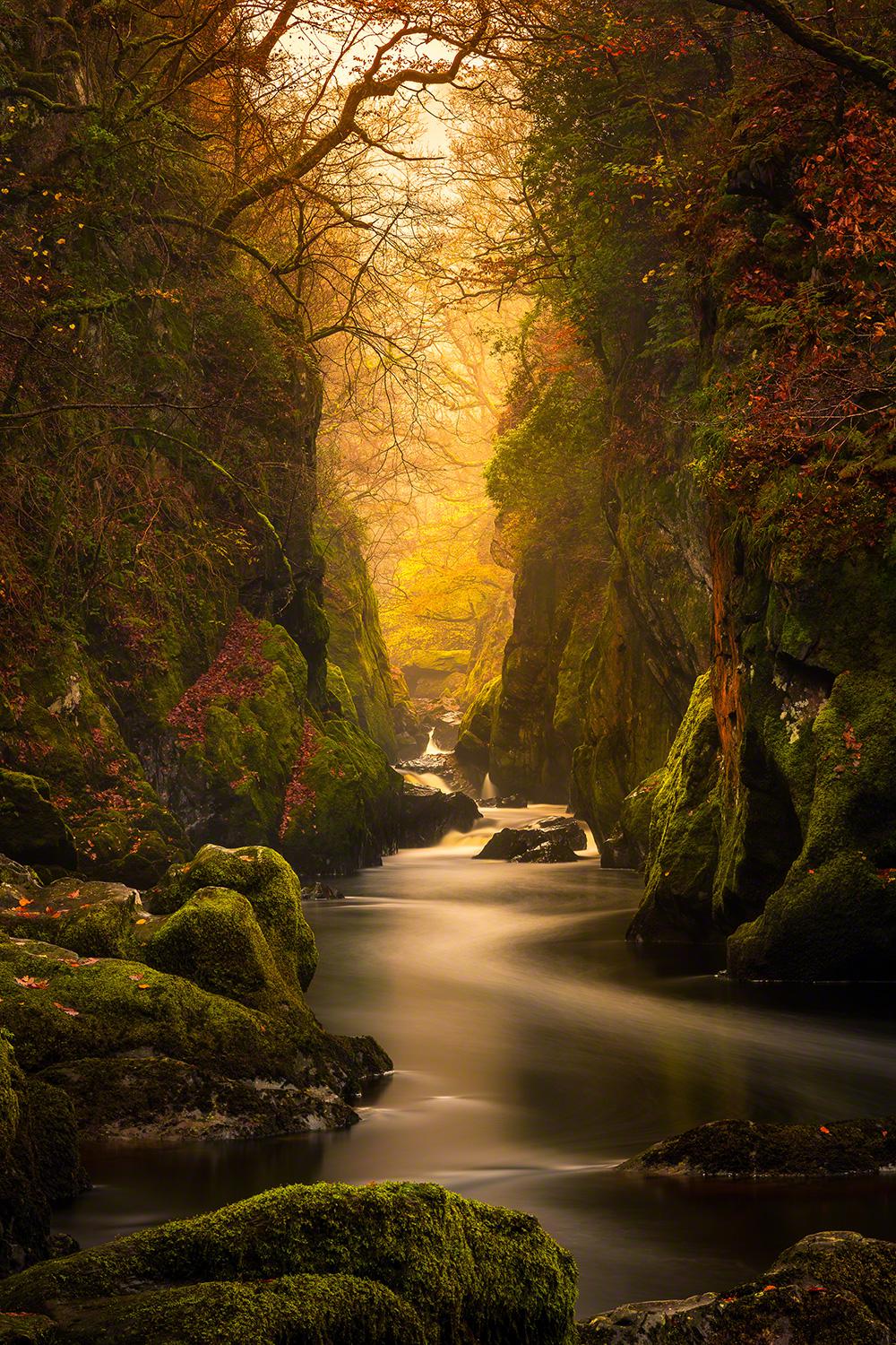 Fairy Glen Gorge, River Conwy [OC] [1000x1500]