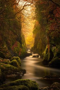 Fairy Glen Gorge, River Conwy [OC] [1000x1500]