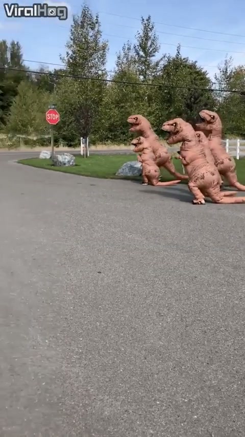 When the whole pack greets you at the bus. - GIF on