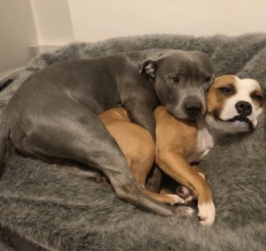 That face evidences the warmth in that snuggle.