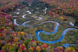 A winding river in the Adirondack Mountains, NY [OC][2000X1332]