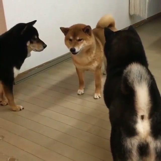 Wrong neighborhood