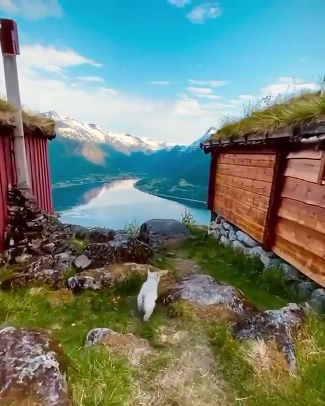 Evening walks in Norway