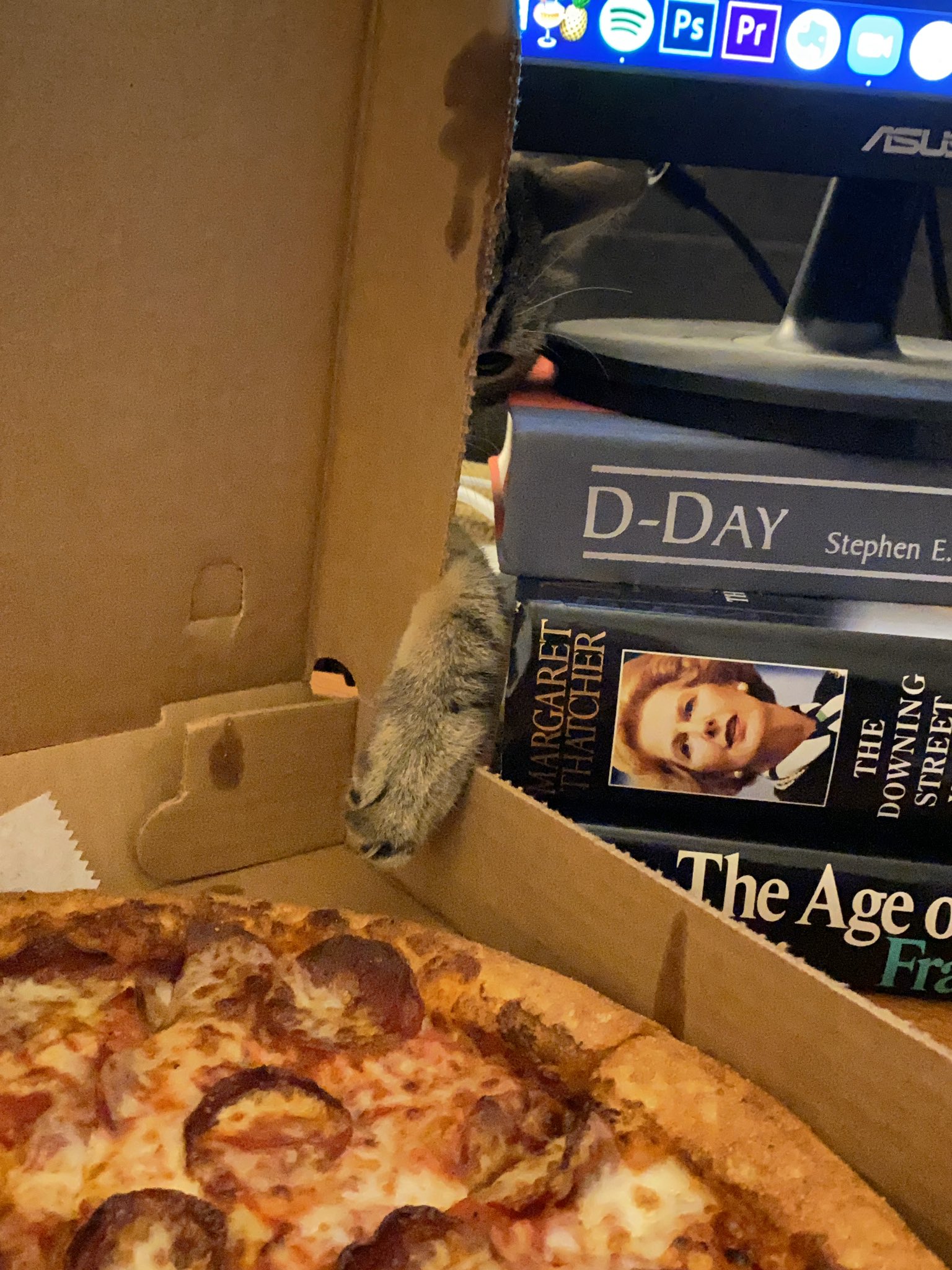 I like pizza