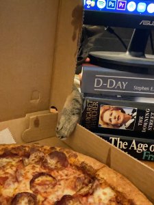 I like pizza