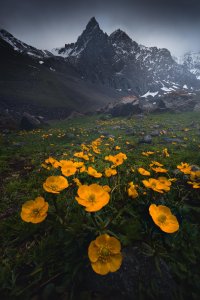 Random unnamed mountain on a hiking trail during a moody afternoon in Kyrgyzstan (1281x1920)[OC]