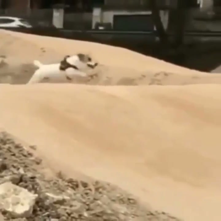 Who needs a bike?