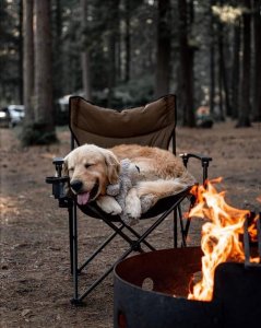Life is good!