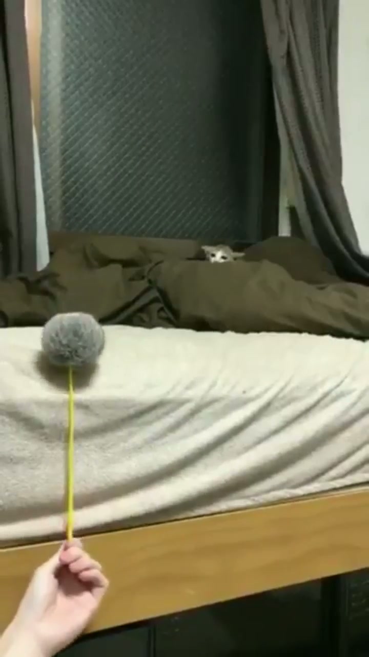 Up...down...up...down...