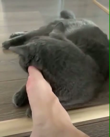 ewww