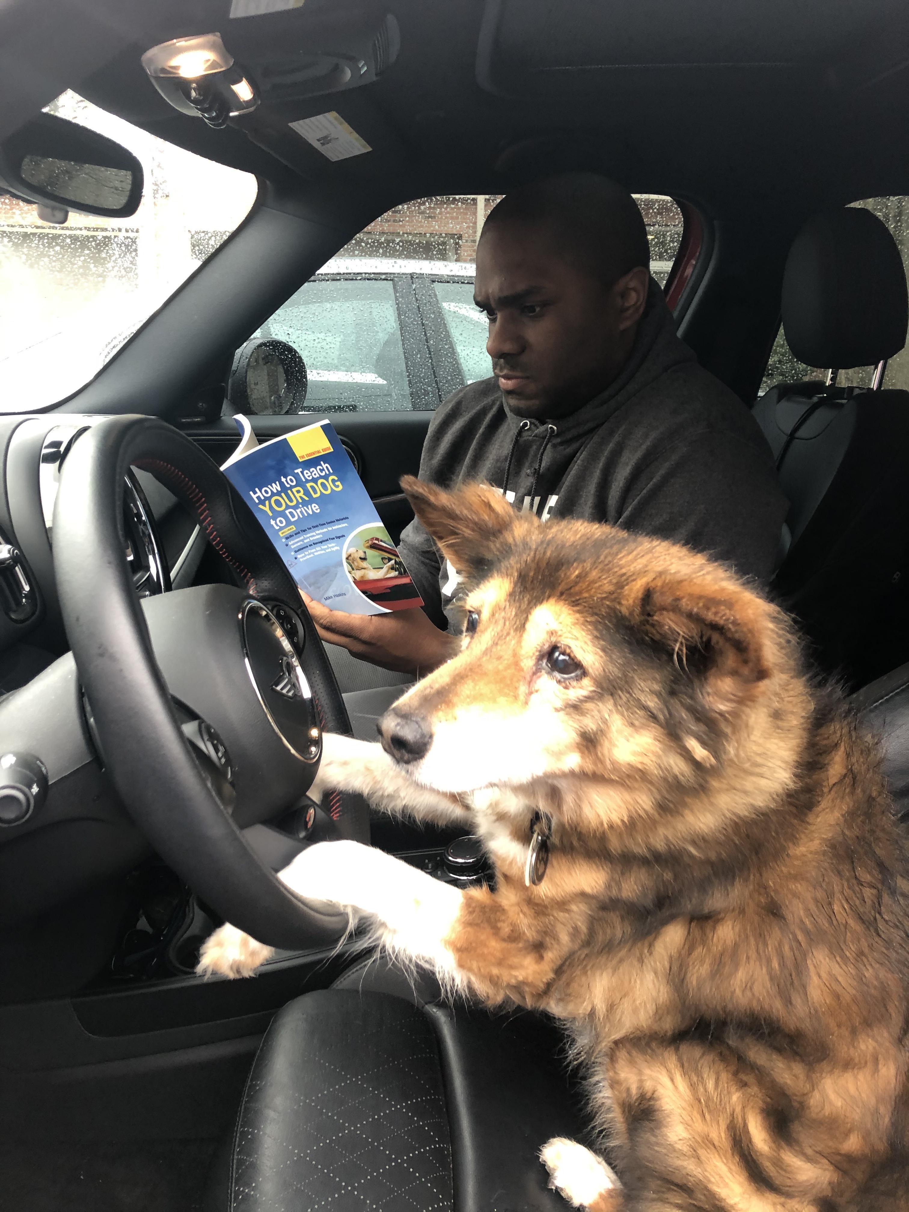 My dog is 16, so I figured it’s time for some driving lessons