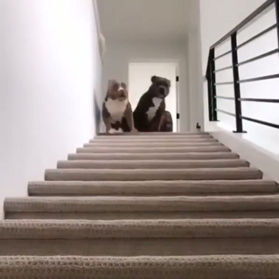 Move!, mom