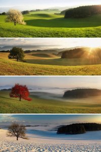 Every season has its happiness